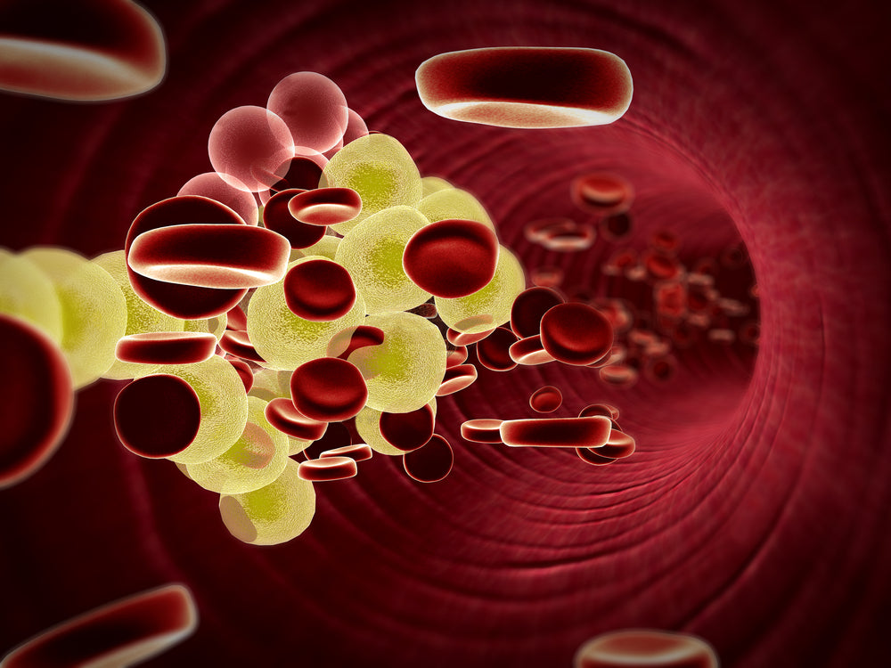 Comment la spiruline peut aider à réduire le cholestérol ?